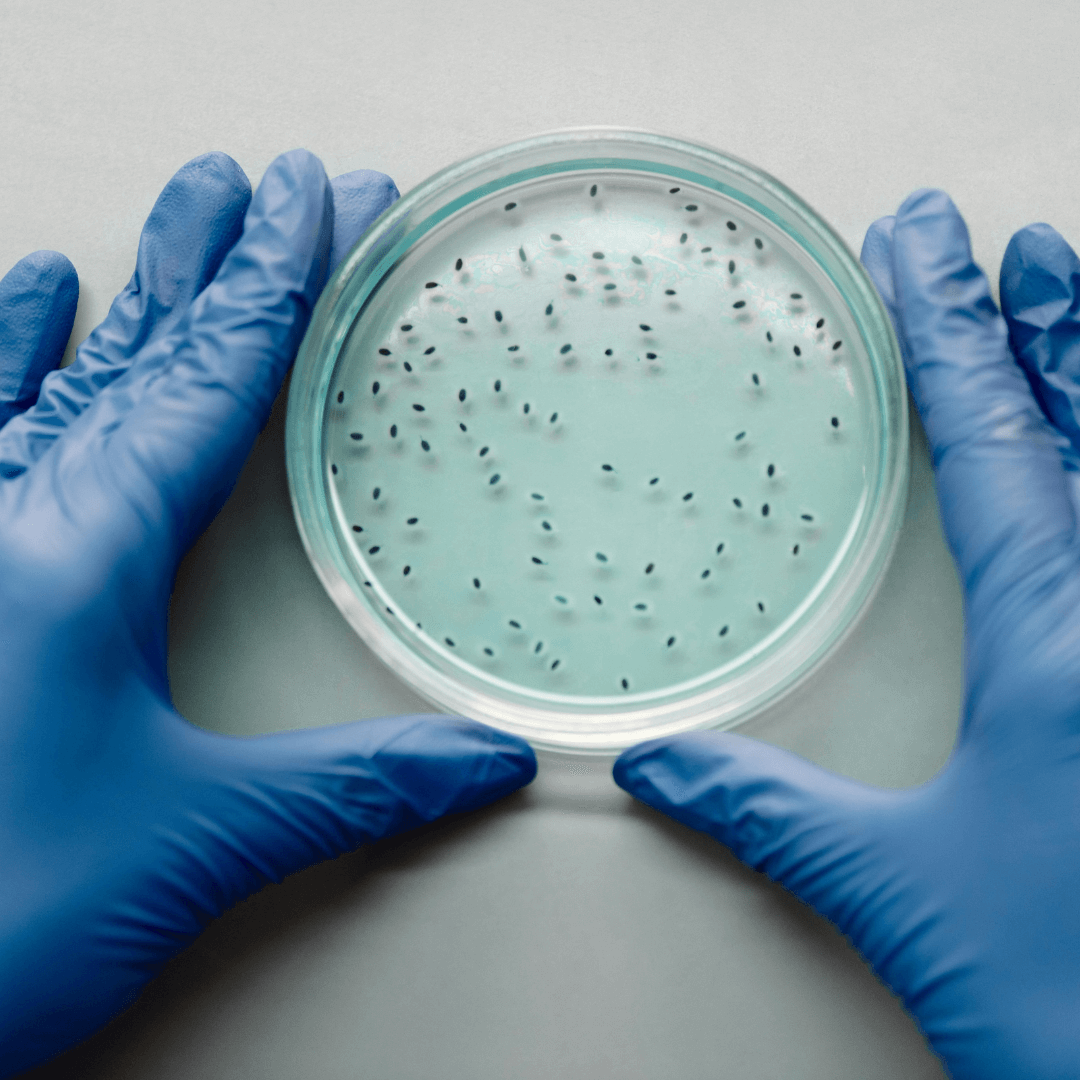 Can-Bacteria-Really-Grow-on-Nitrile-Gloves?