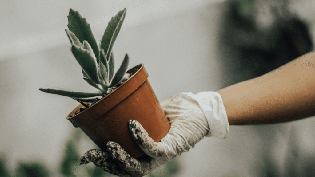 Eco-Innovation-Stop-Your-Clients-from-Switching-Suppliers