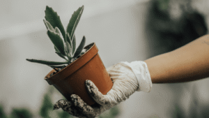 Eco-Innovation-Stop-Your-Clients-from-Switching-Suppliers